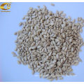 Hot Sale Original Sunflower Seeds Kernels